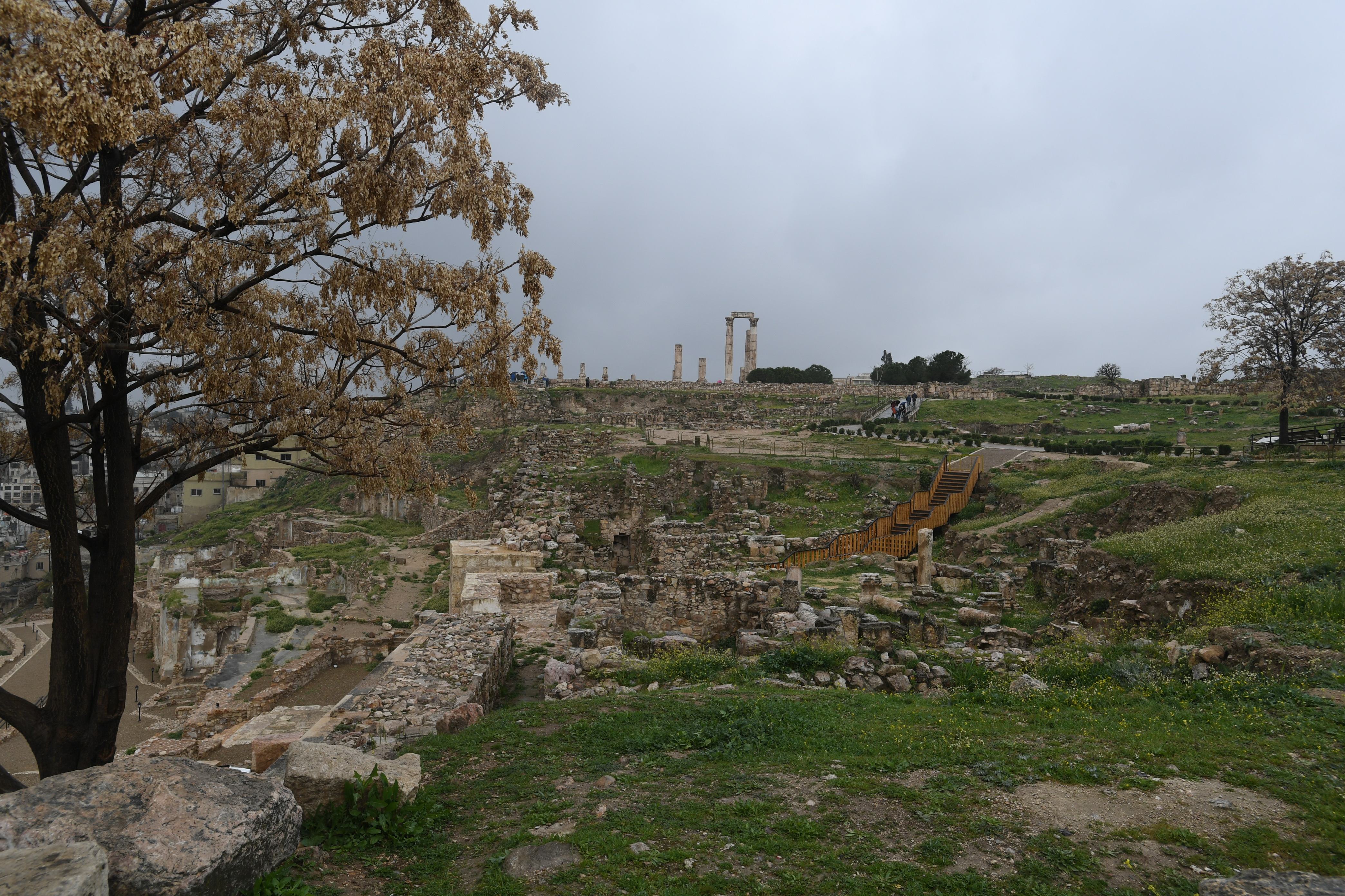 Amman