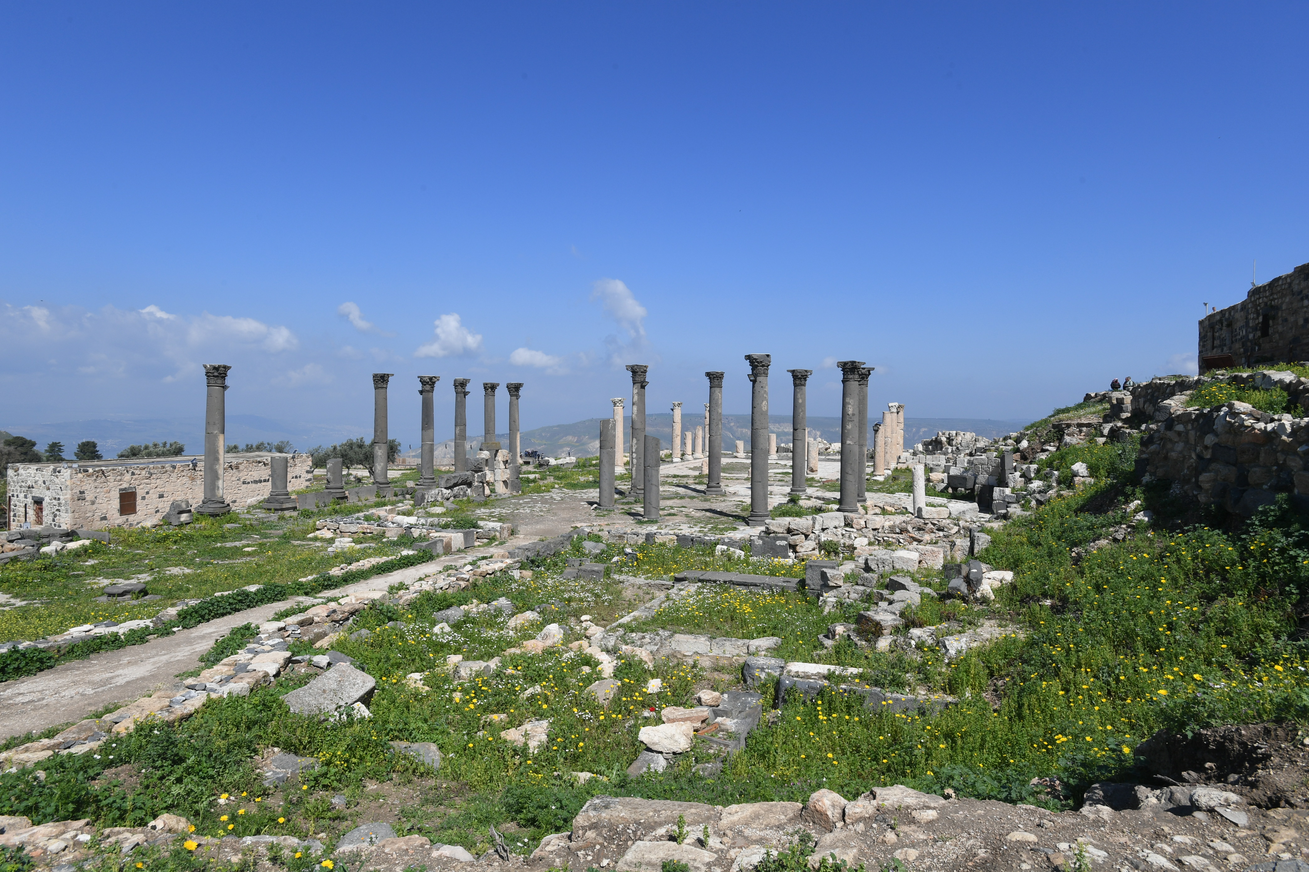 Gadara, Umm Qais