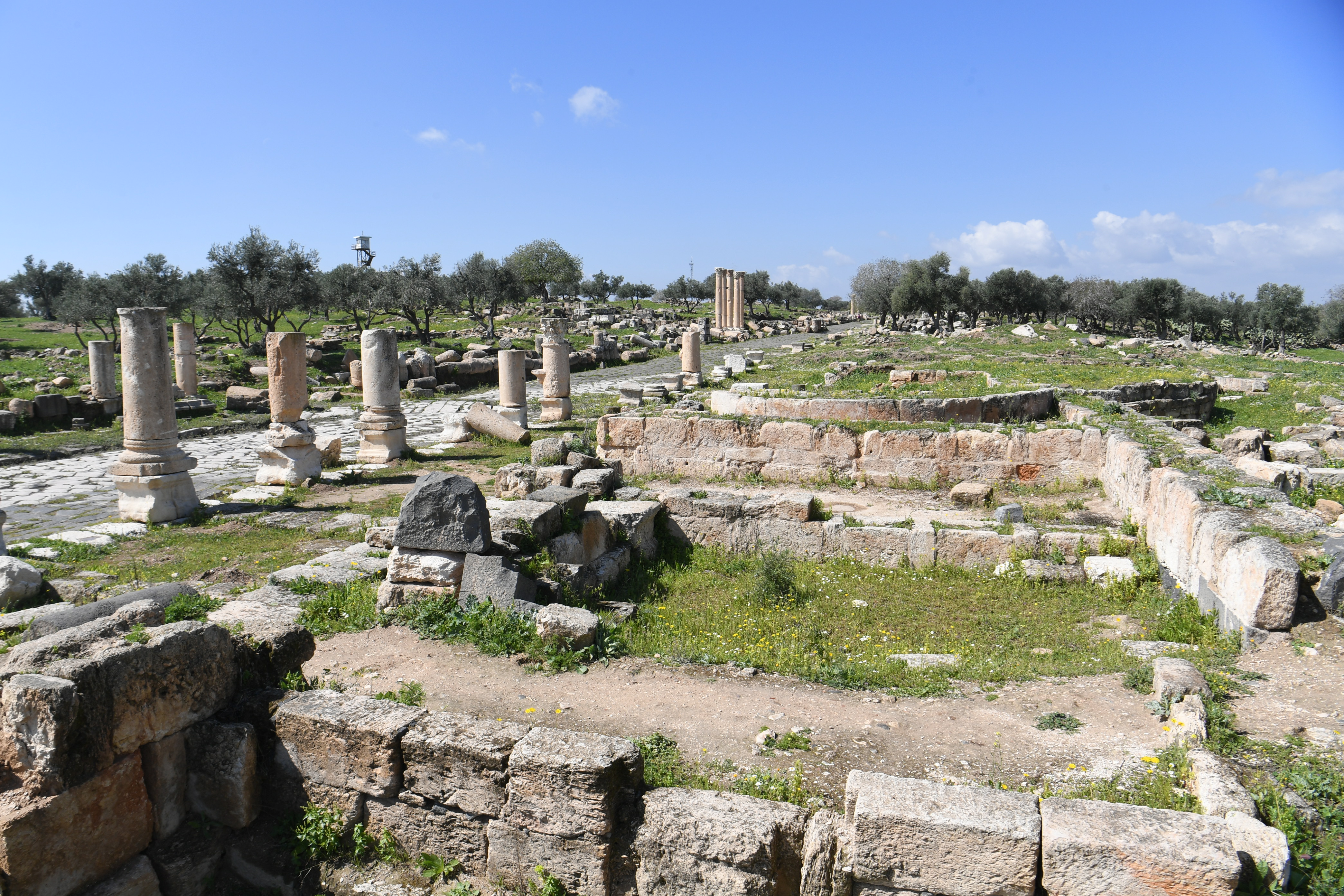 Gadara, Umm Qais