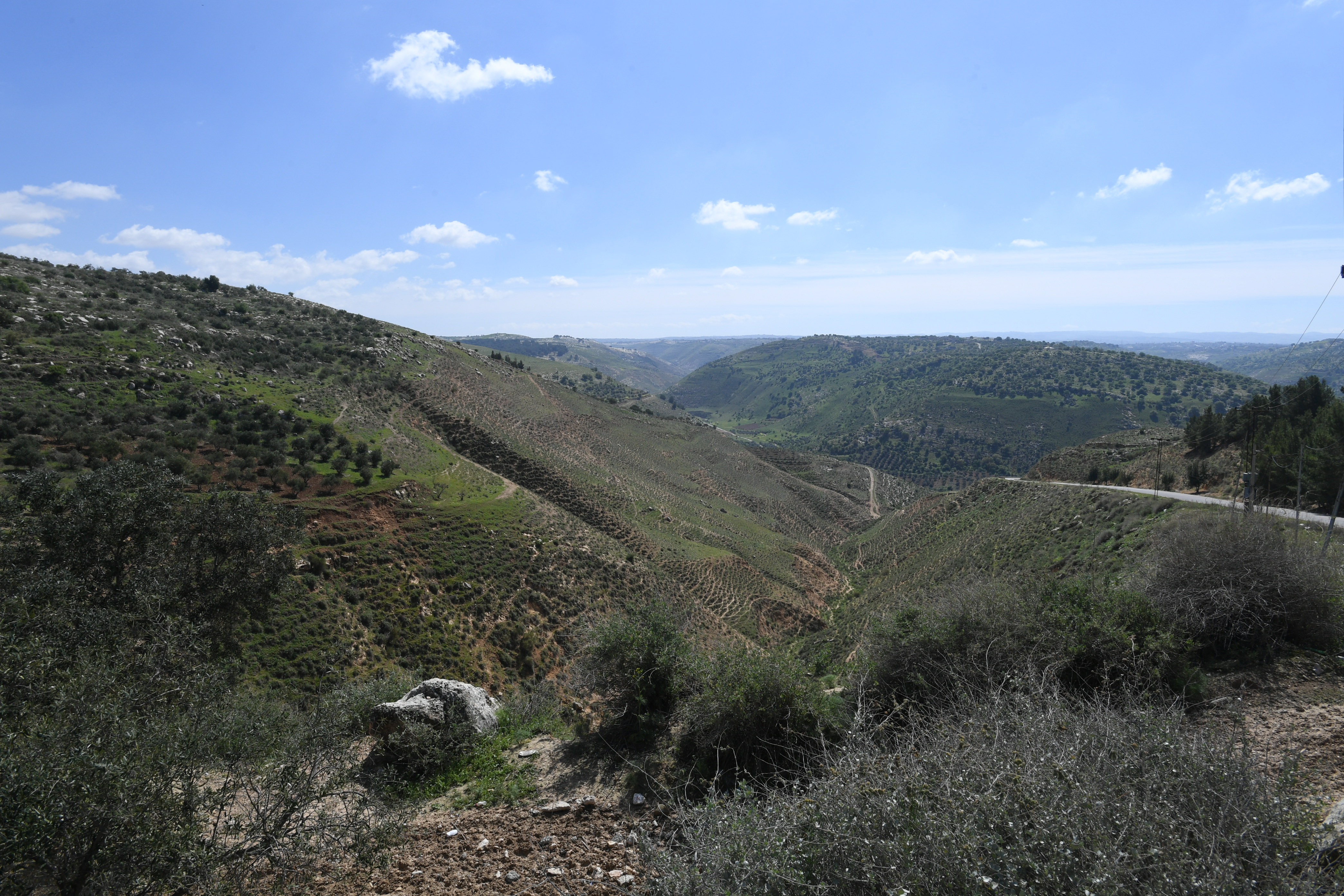 Gadara, Umm Qais