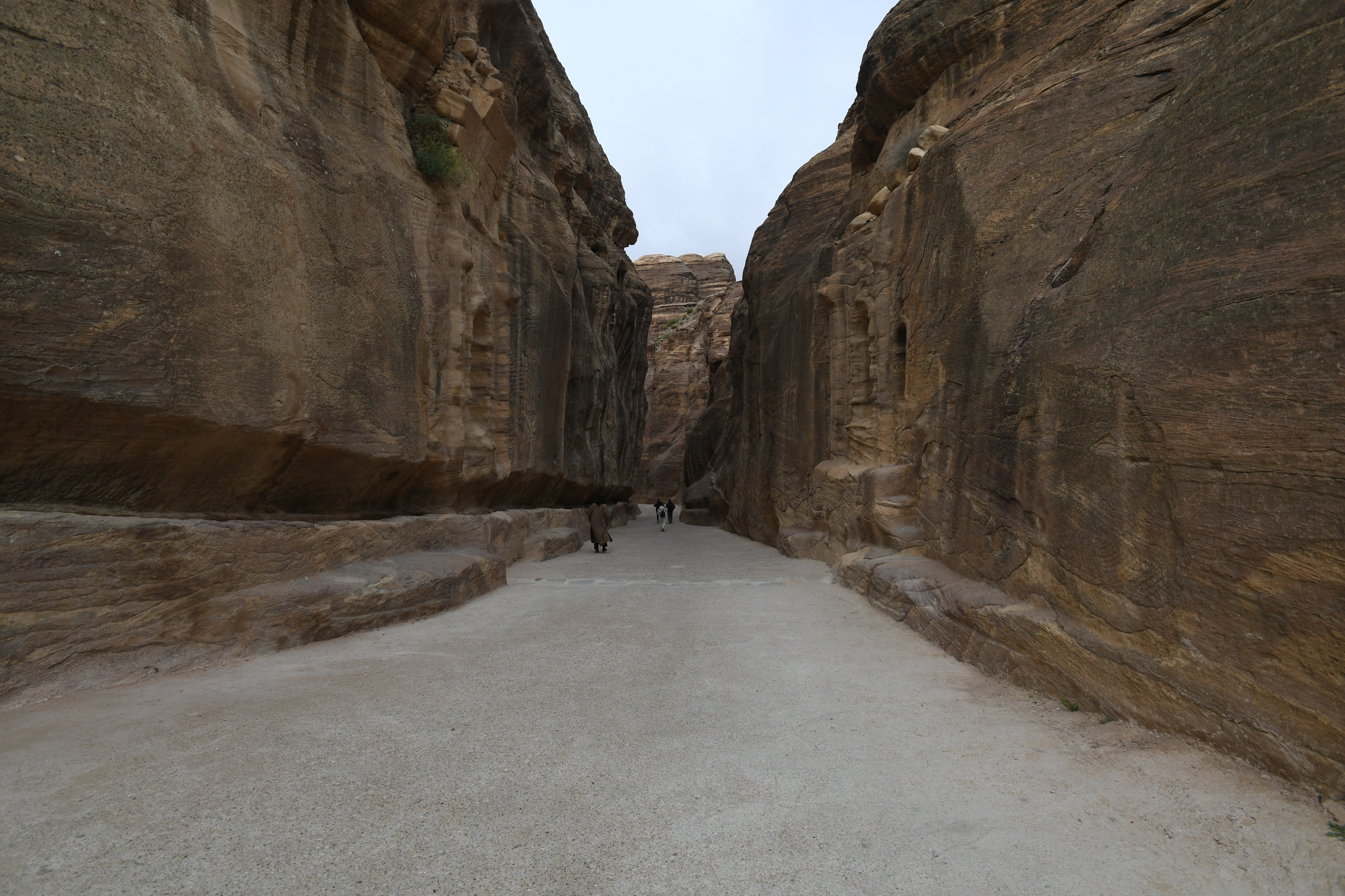 Petra