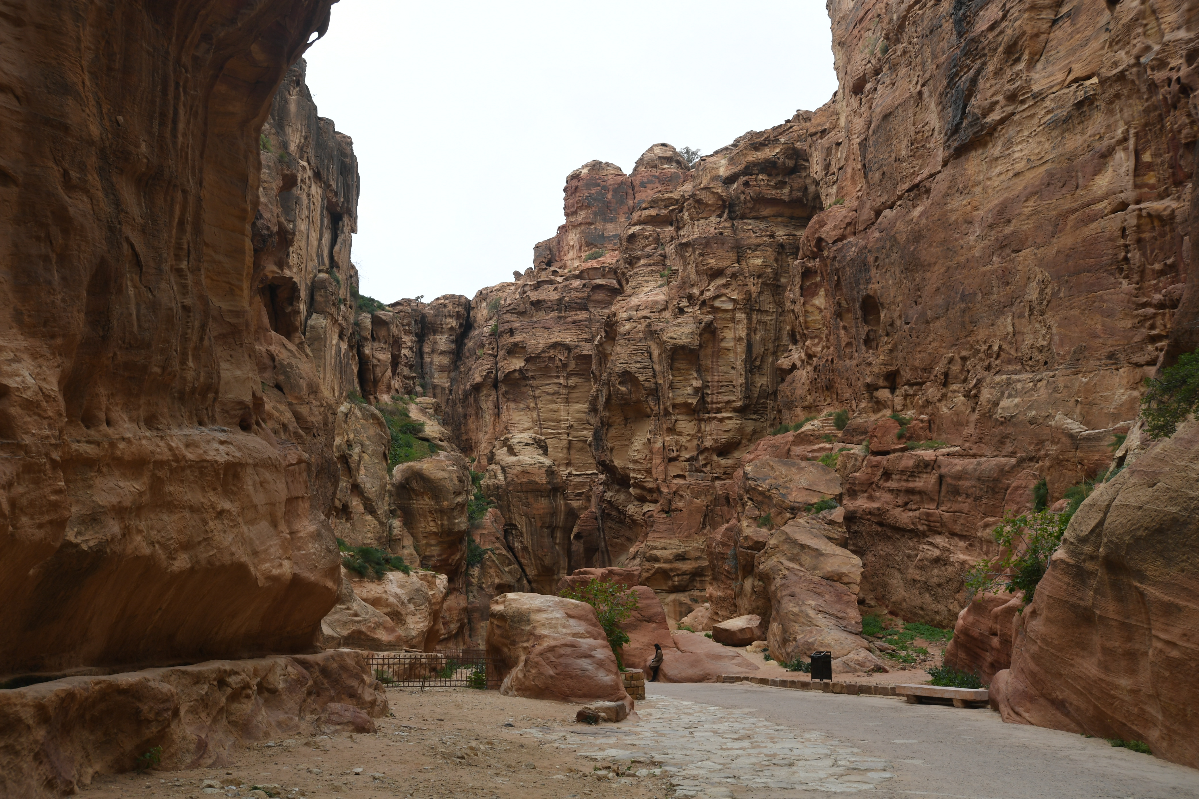 Petra