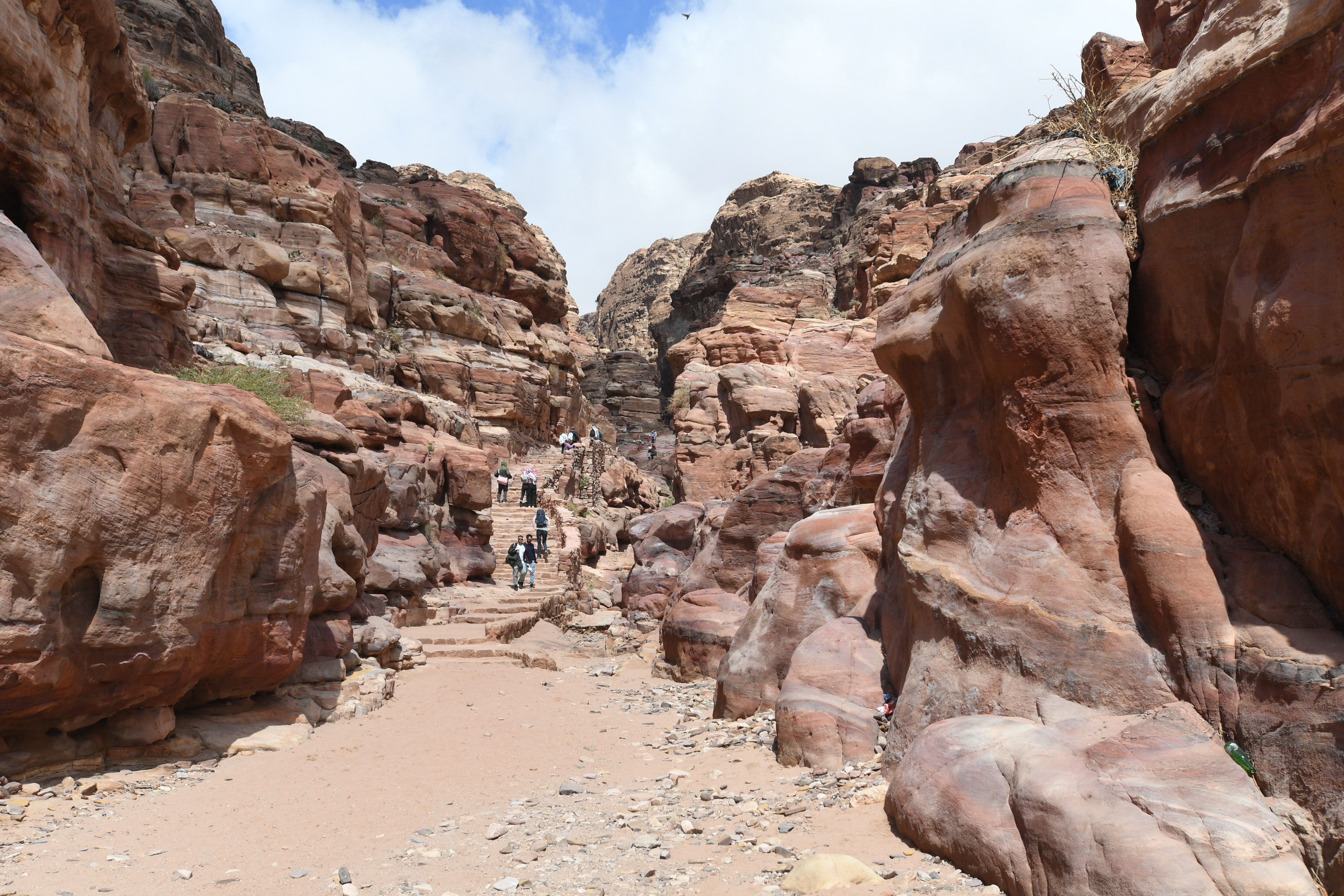 Petra