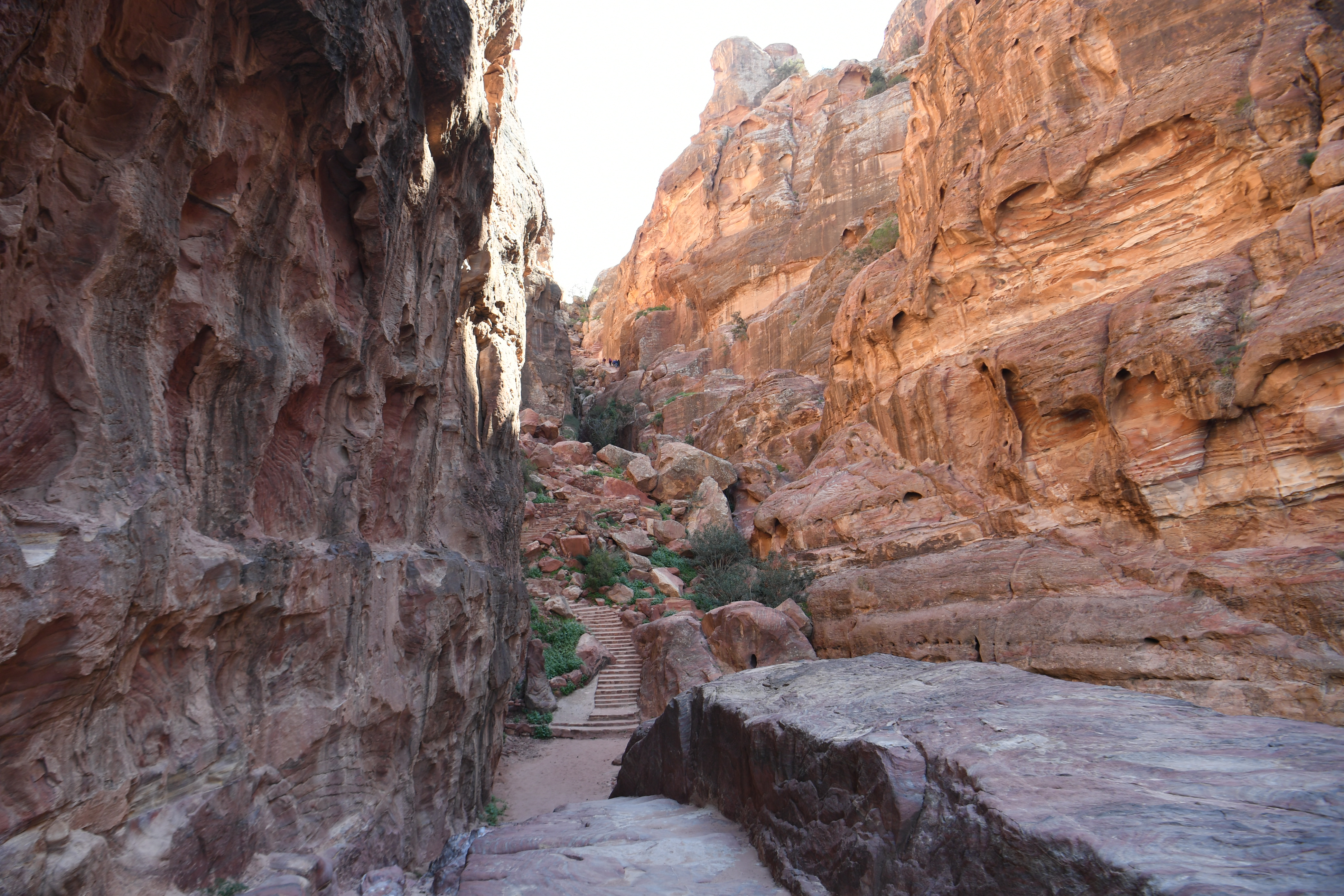 Petra