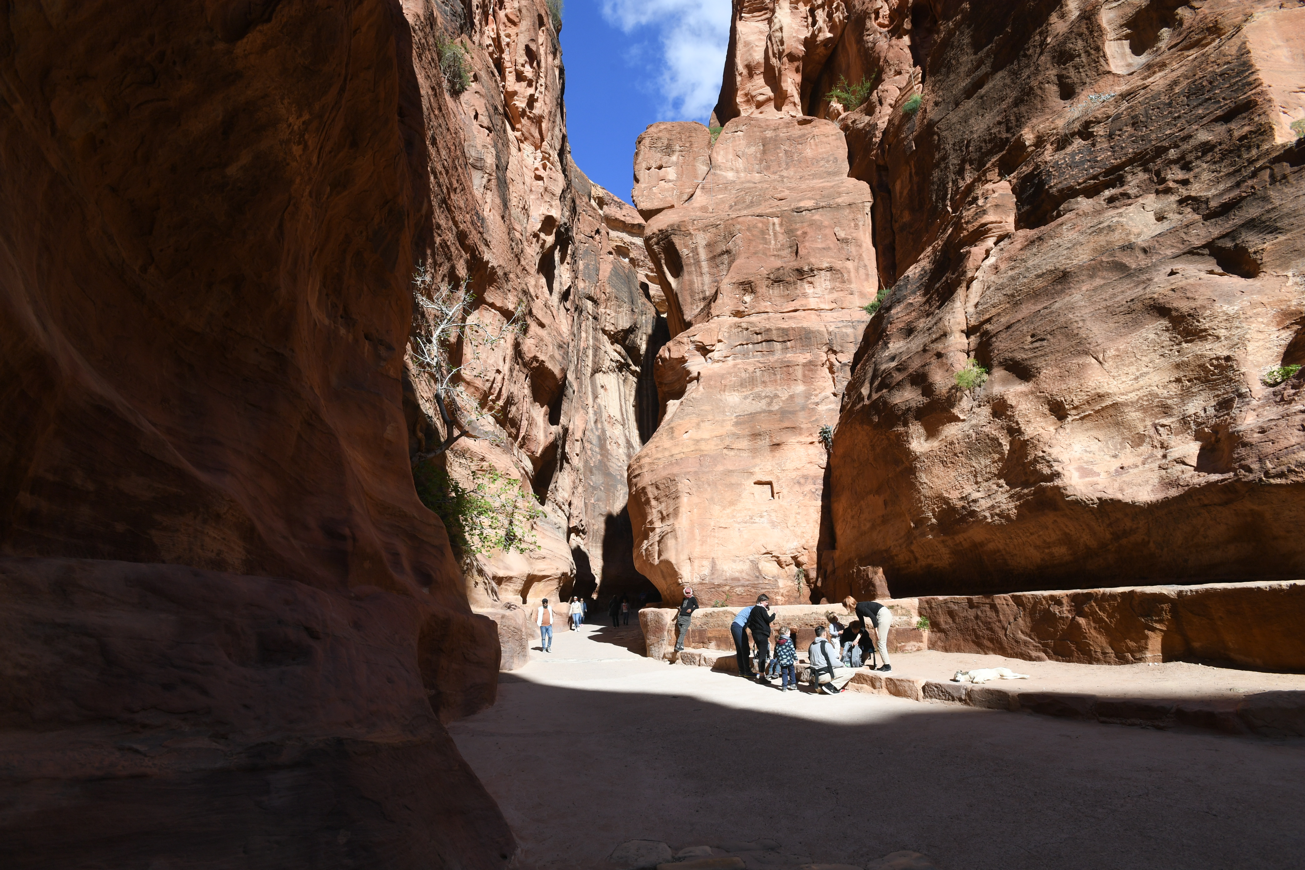 Petra