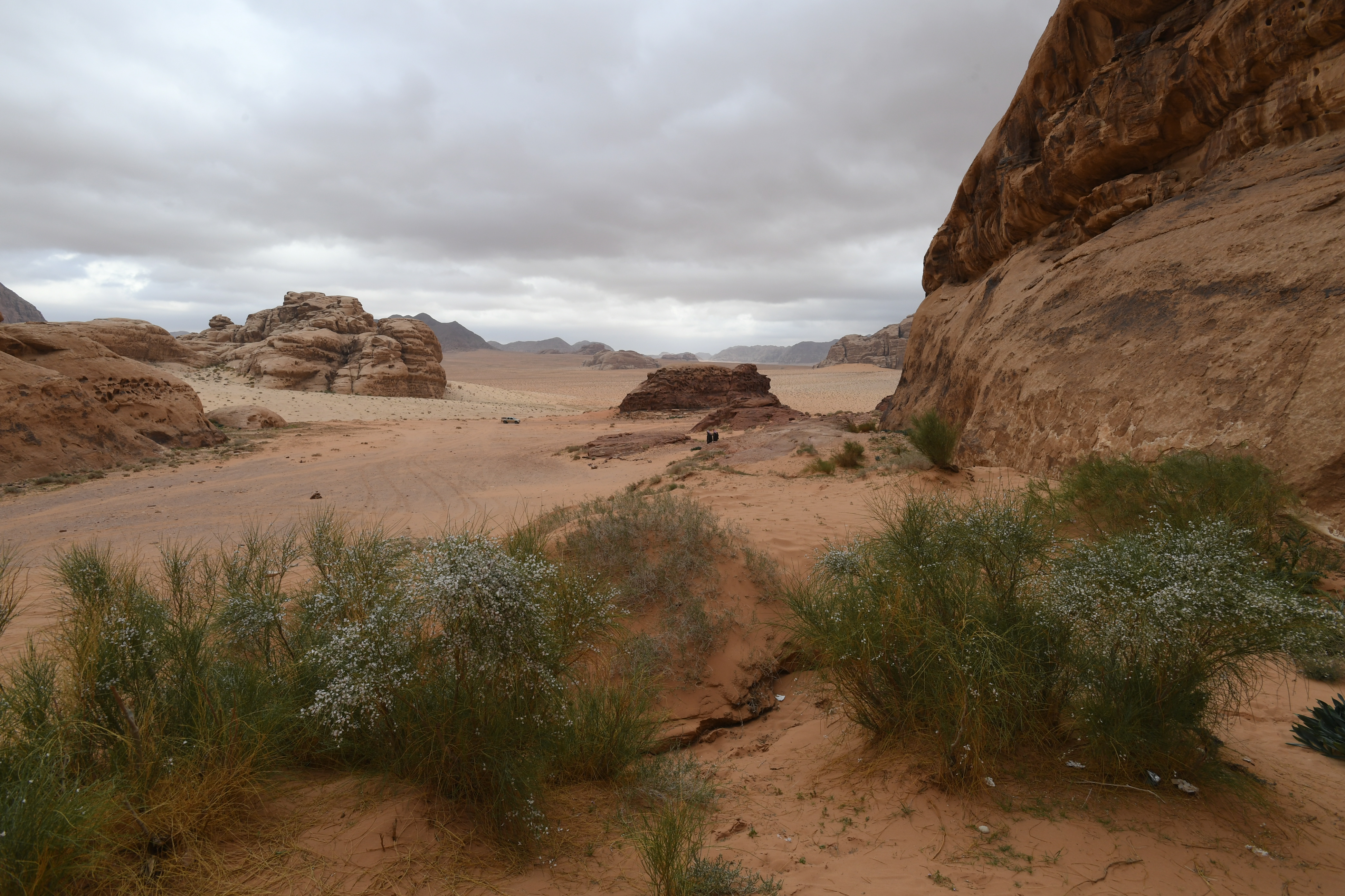Wadi Rum