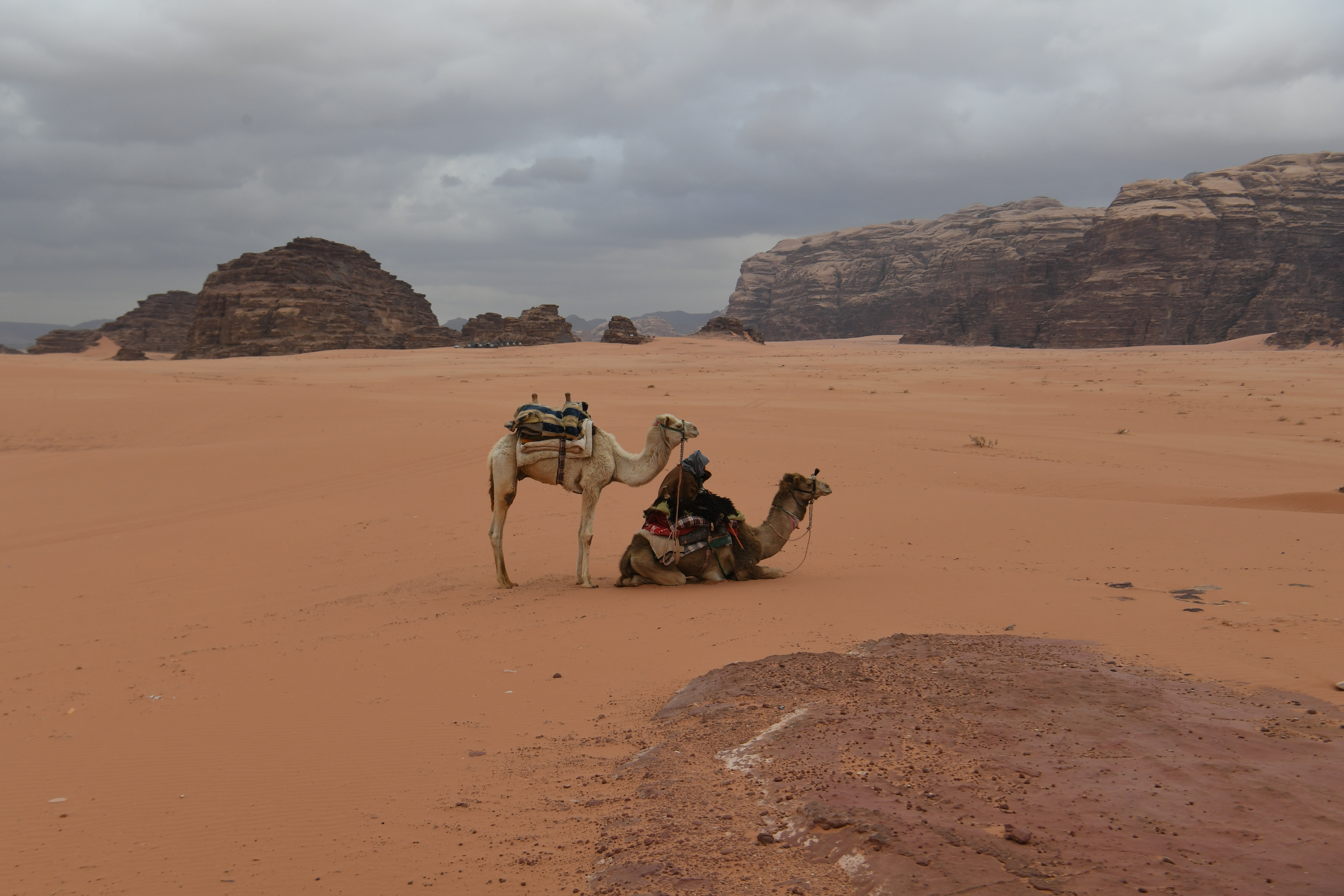 Wadi Rum