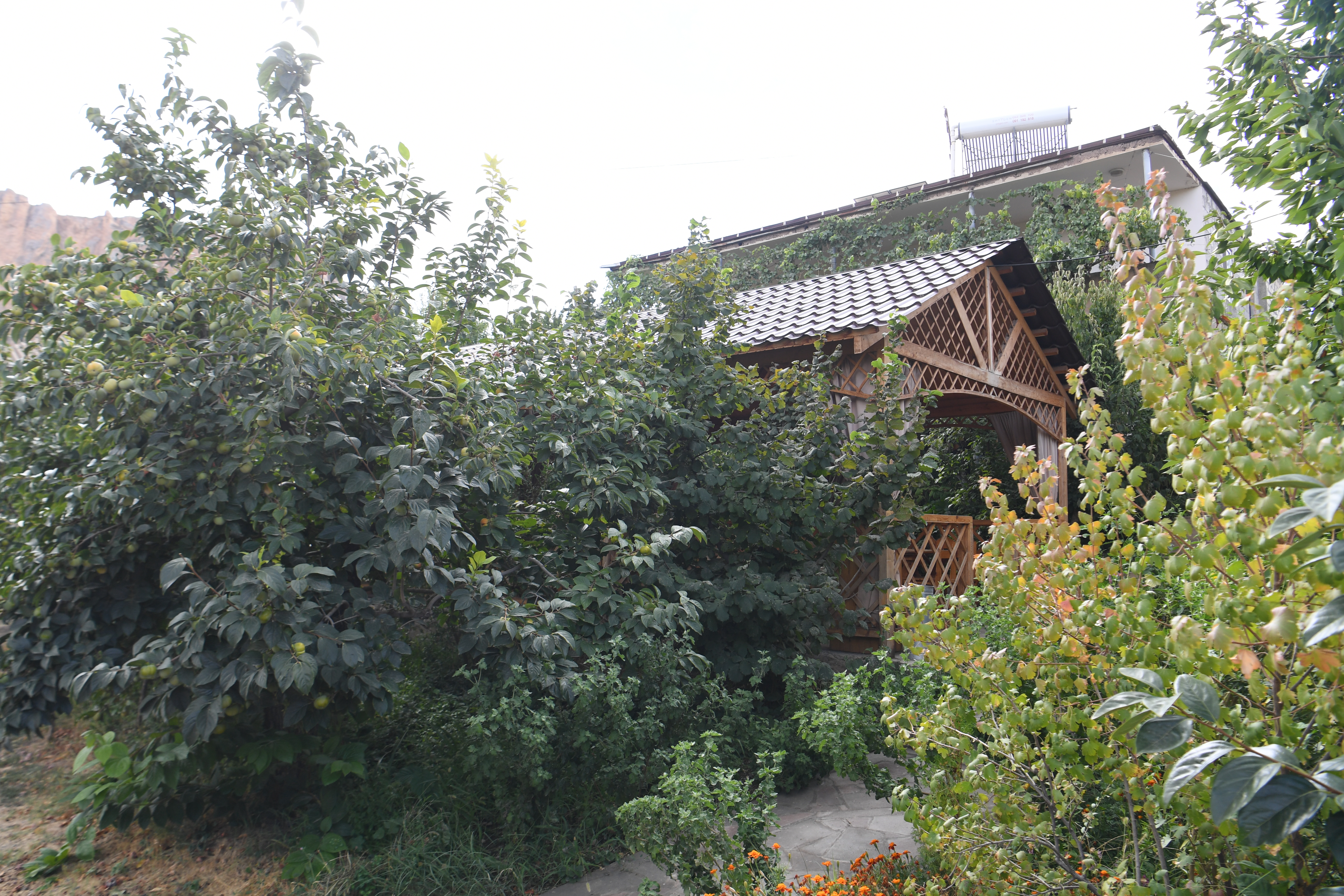 Stepanyan Wines, Areni