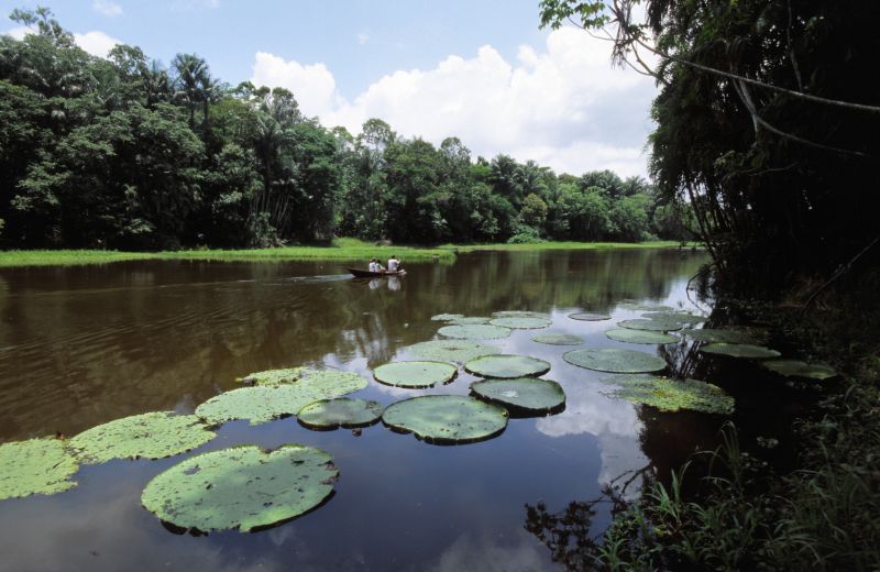 Rio Negro 10/2006