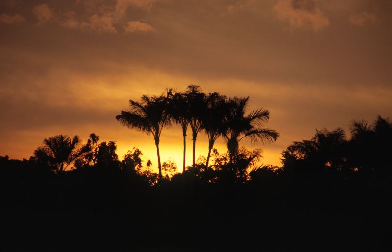 Rio Negro 10/2006