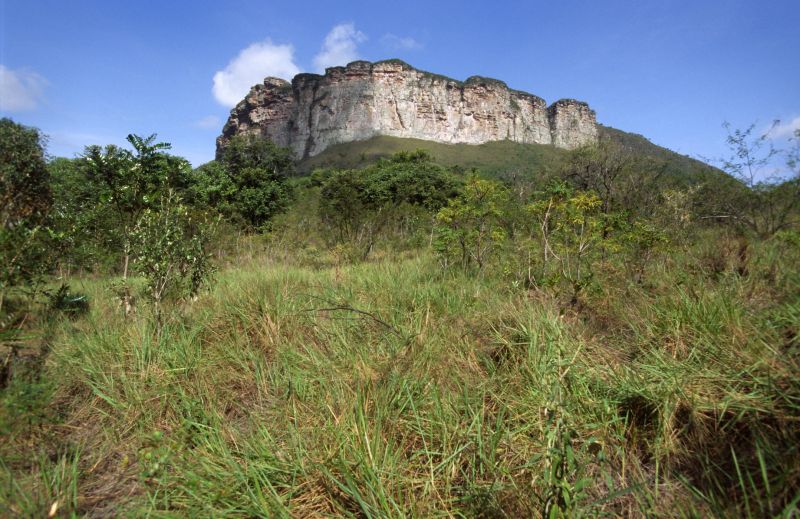 Chapada de Diamantina 10/2006