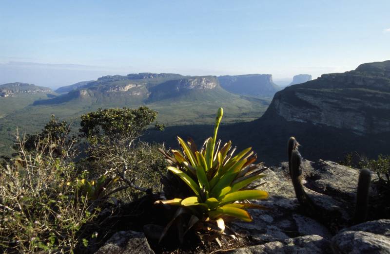 Chapada de Diamantina 10/2006