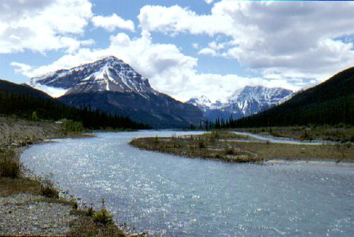 Icefield Pkwy, Jasper N.P. 06/2000
