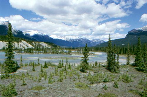 Icefield Pkwy, Jasper N.P. 06/2000
