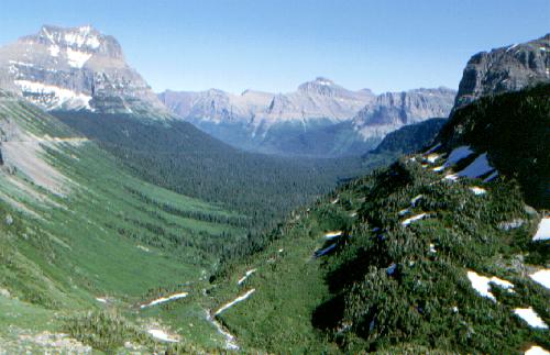 Glacier N.P. (USA) 06/2000