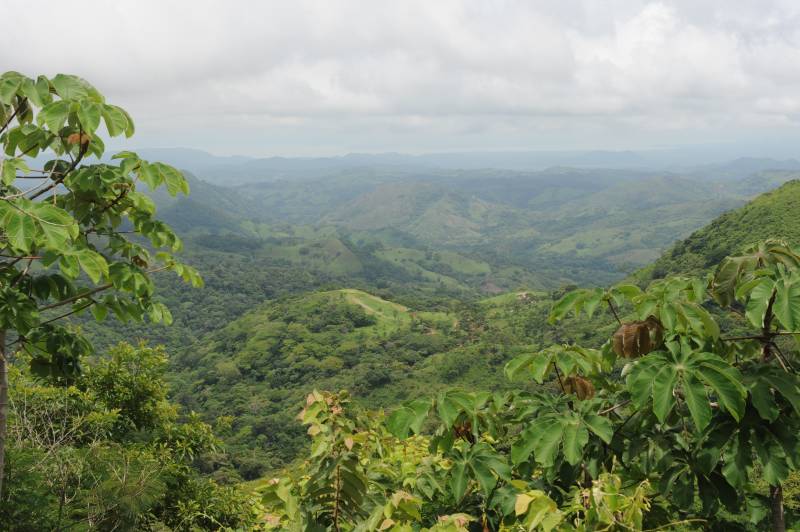 Monteverde, 07.2011