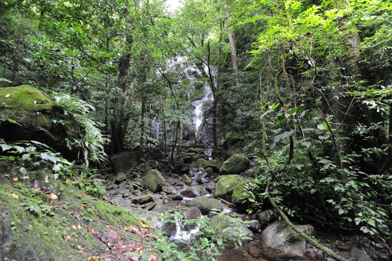 Rinc�n de la Vieja, 07.2011