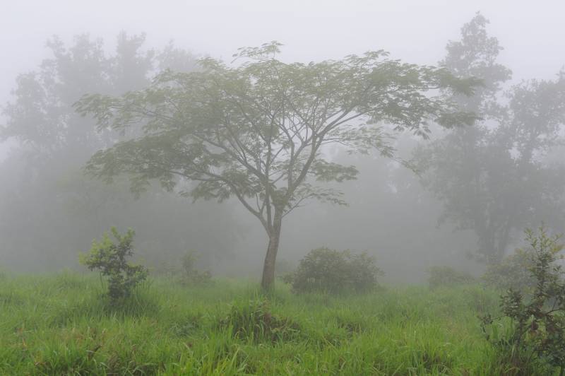 Rinc�n de la Vieja, 07.2011
