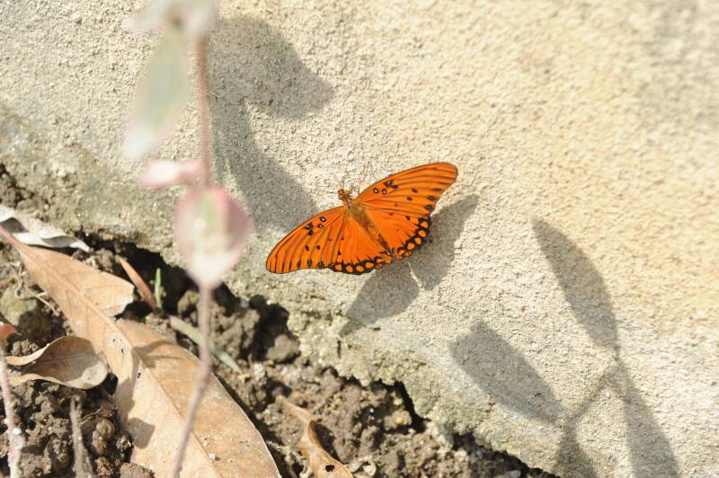 07.2011