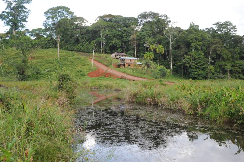 Laguna del Lagarto, 07.2011