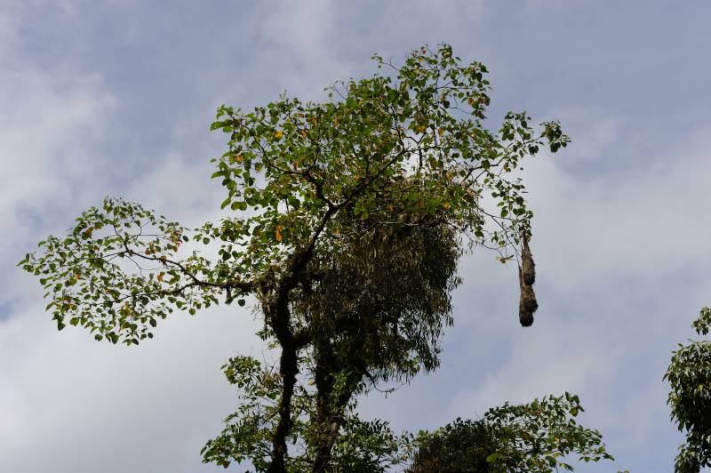 Tapanti-Nationalpark, 07.2011