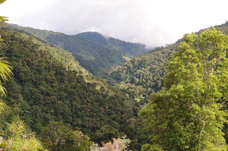Cerro de la Muerte, 07.2011