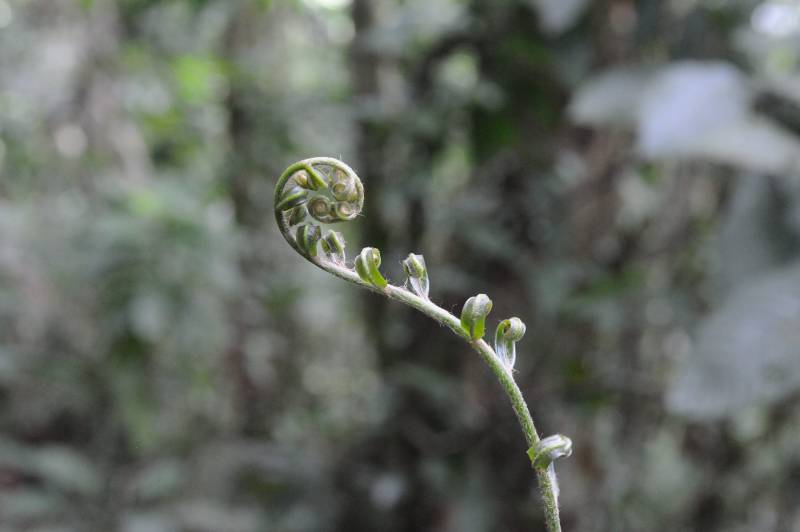 Piedras-Blancas-Nationalpark, 07.2011