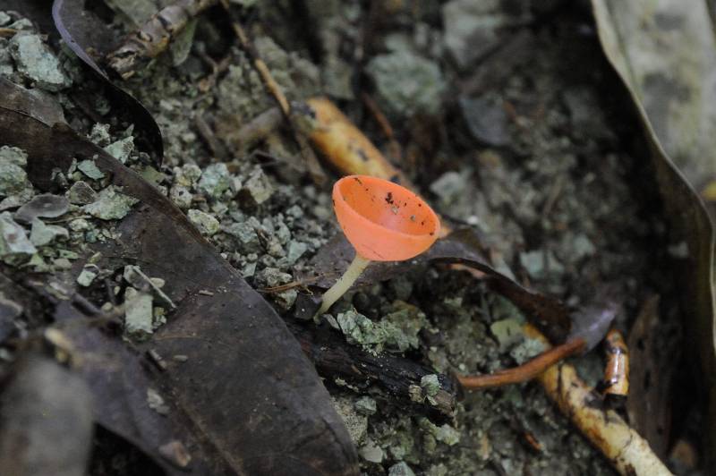 Piedras-Blancas-Nationalpark, 07.2011