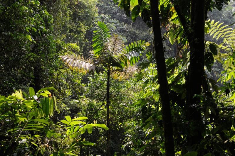Piedras-Blancas-Nationalpark, 07.2011