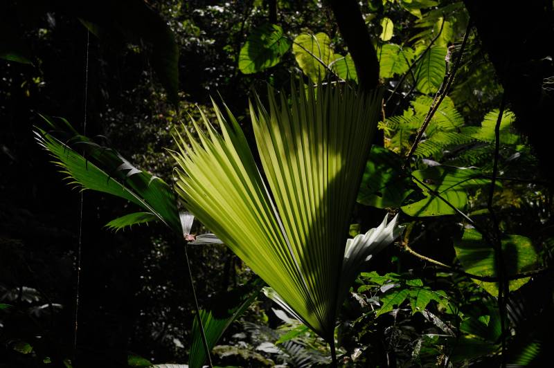Piedras-Blancas-Nationalpark, 07.2011