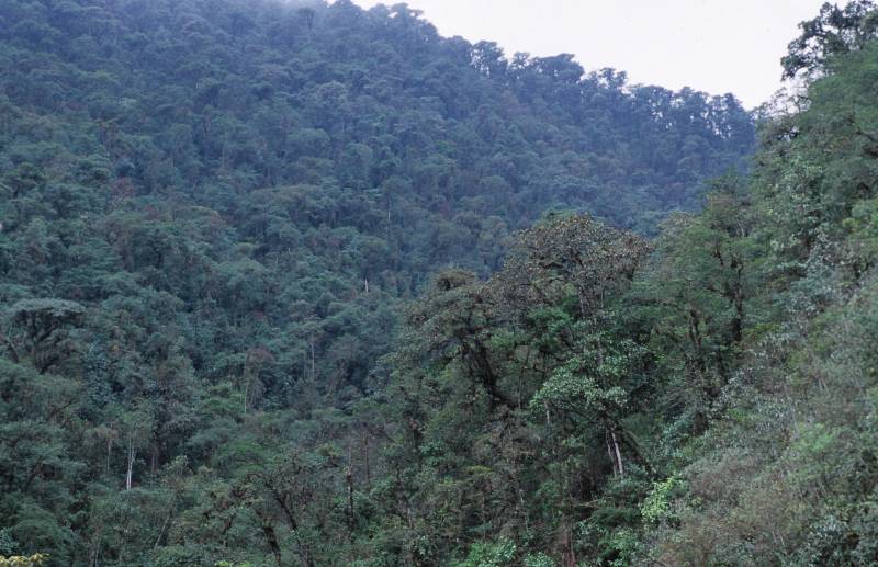 Pahuma, 09/2005
