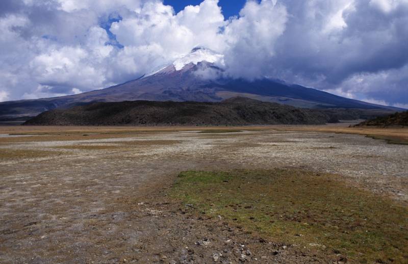 Cotopaxi N.P., 09/2005