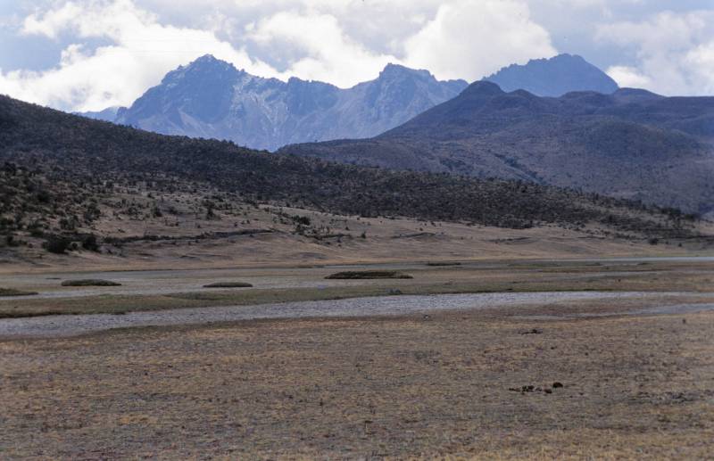 Cotopaxi N.P., 09/2005