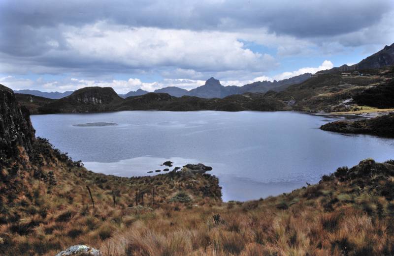 Cajas N.P., 09/2005