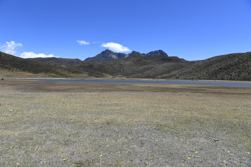 Nationalpark Cotopaxi
