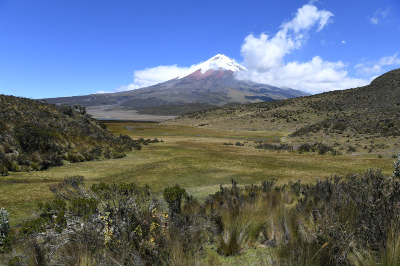 Vulkan Cotopaxi