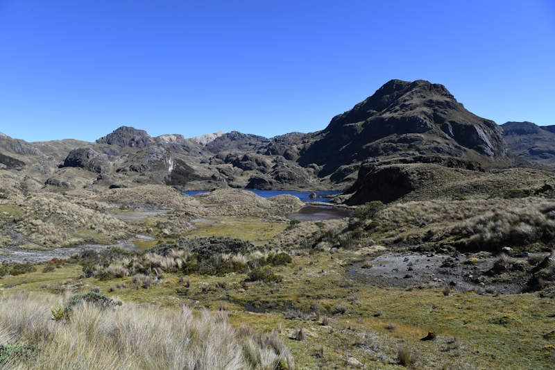 Parque Nacional Cajas Toreadora