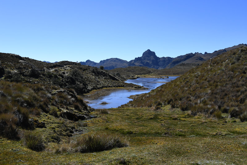 Parque Nacional Cajas Toreadora