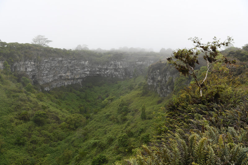 Los Gemelos, Santa Cruz