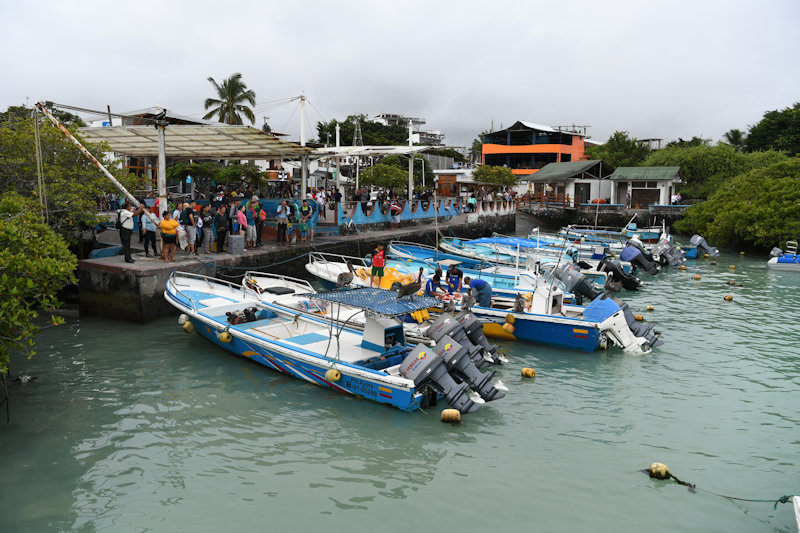 Puerto Ayora, Santa Cruz