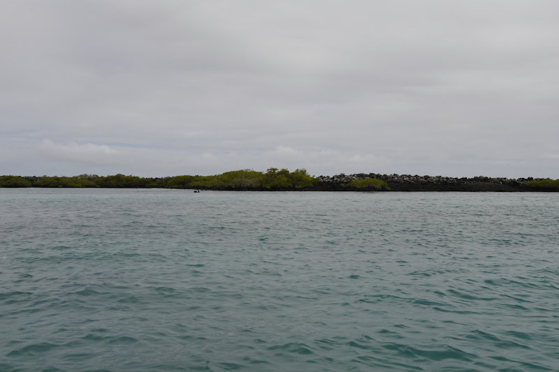Islote Tinturas, Isabela