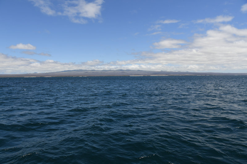 Santa Cruz