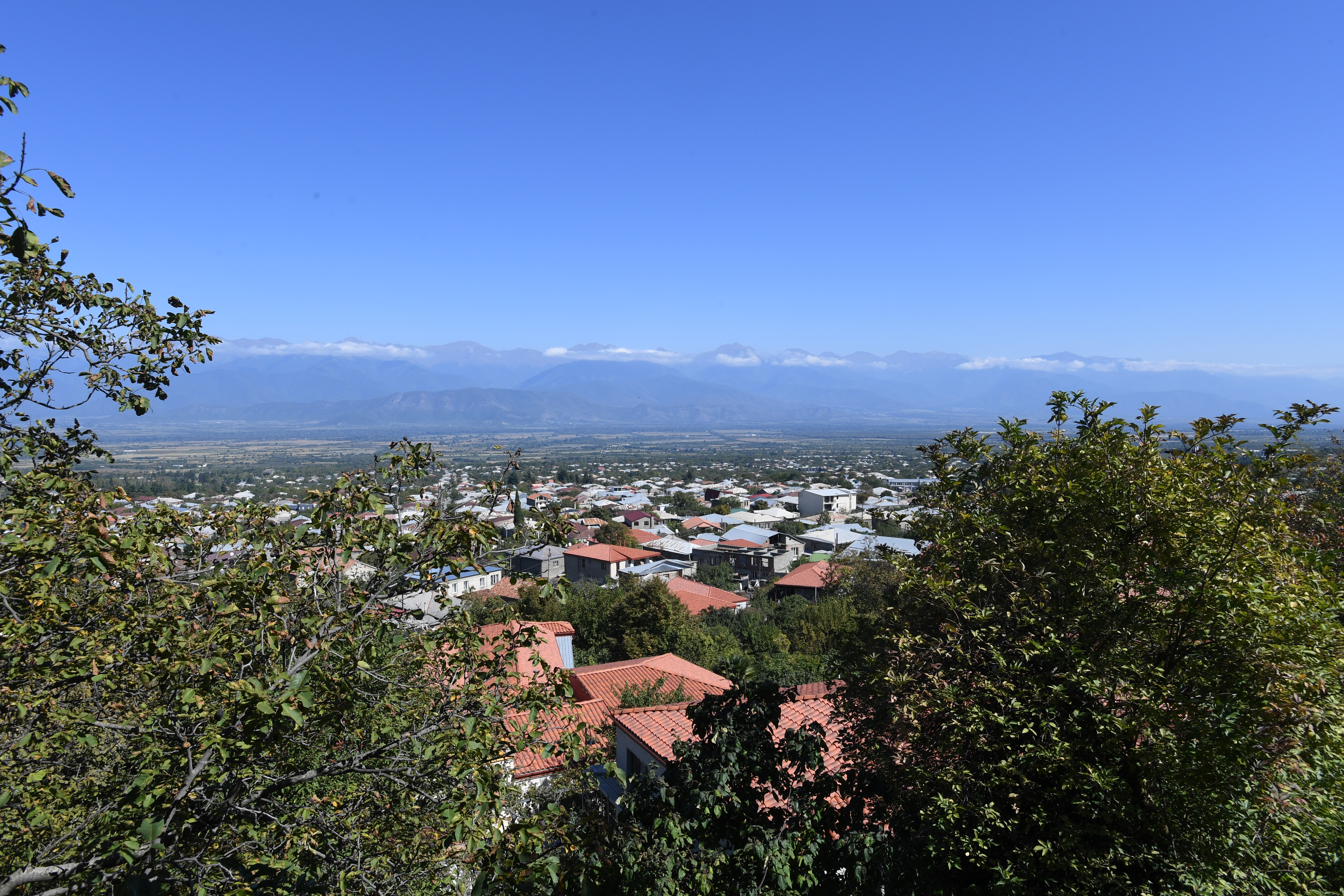 Telavi
