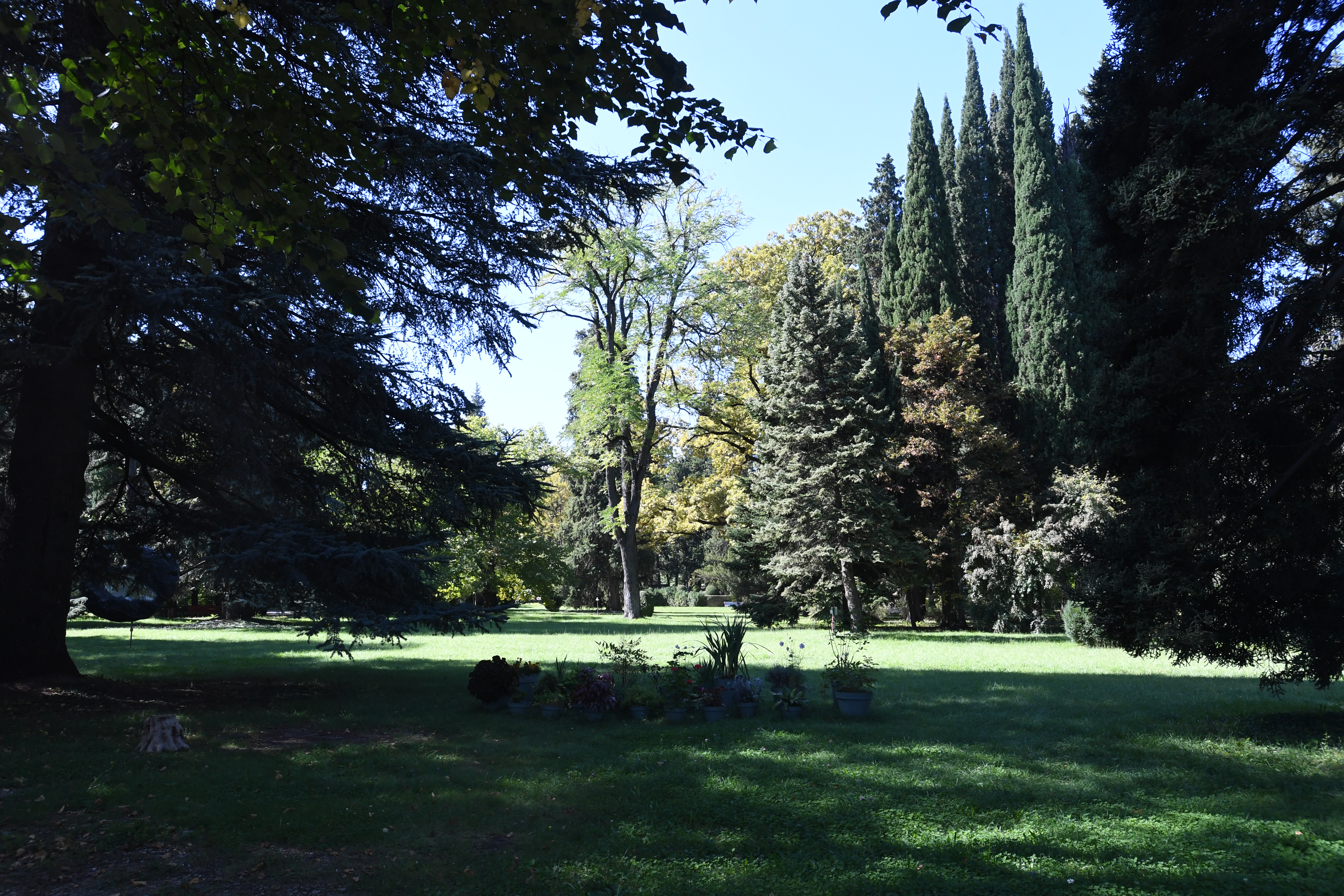 House Museum of Alexander Chavchavadze/Tsinandali Estate
