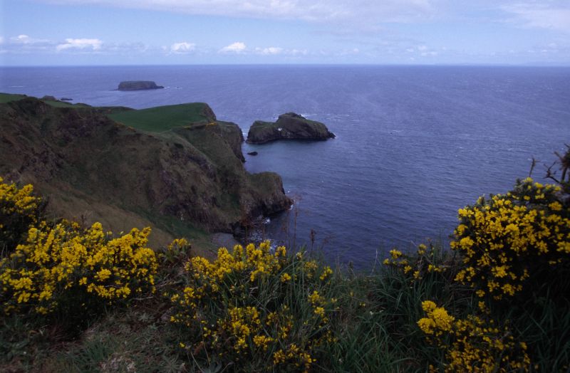 Carrick a Rade Island (C. Rope Bridge) 05/2006