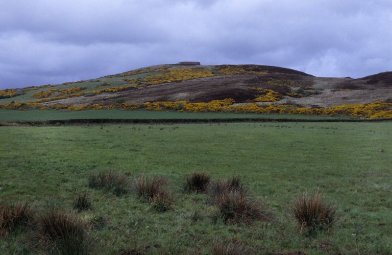 Grianan of Aileach 05/2006