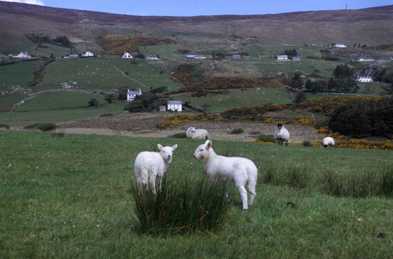 Glencolumbkily 05/2006