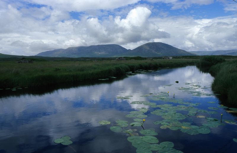 bei Lough Ahalia / Glentrasna 07/2007