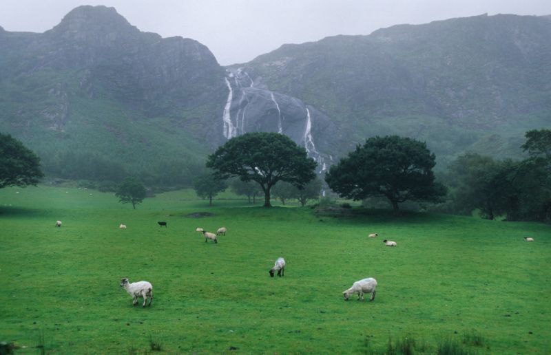 Gleninchaquin Park, Beara Halbinsel 07/2007