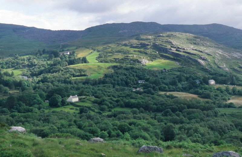bei Barraboy Mountain, Glengariff, Beara Halbinsel 07/2007